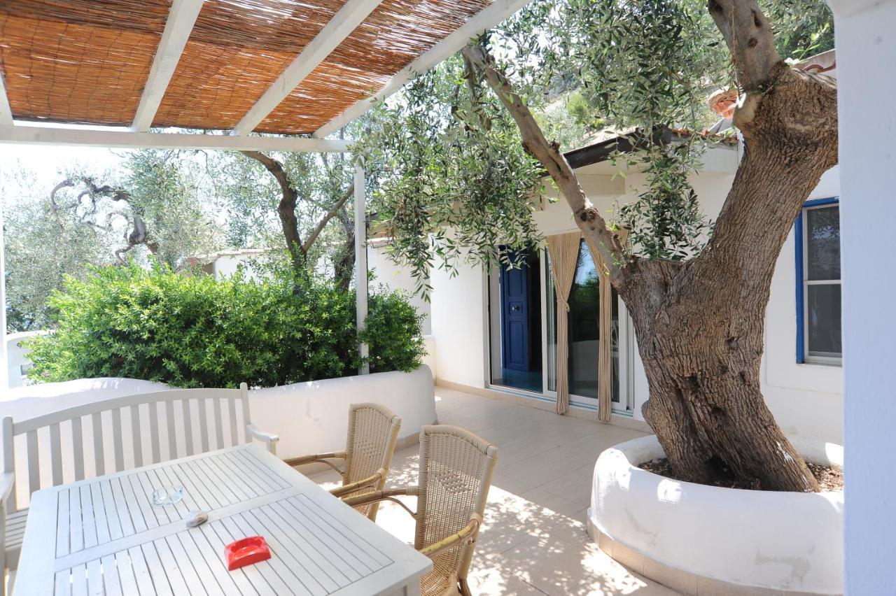 Case Vacanza Montesaraceno Mattinata Extérieur photo